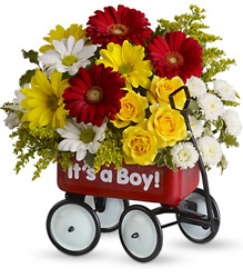 Baby's Wow Wagon by Teleflora from Swindler and Sons Florists in Wilmington, OH